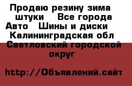 Продаю резину зима 2 штуки  - Все города Авто » Шины и диски   . Калининградская обл.,Светловский городской округ 